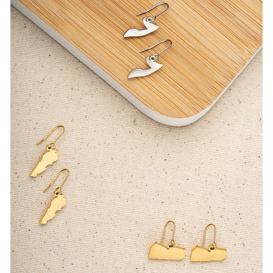 ZUDO_map-earrings